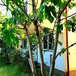 Casa De La Mare * كوستِنيست