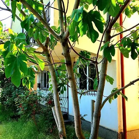 Casa De La Mare * Costinesti